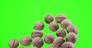 Birkaç ceviz yavaşça yükselir ve yeşil arka plan üzerine düşer (kroma anahtarı). Yavaş çekim 300 fps. 