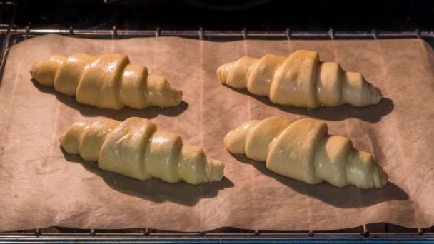 Time Lapse Video Procesu Pečení Skupiny Croissantů Troubě — Stock video