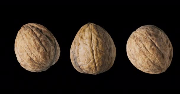 Three Walnuts Slowly Rotate Black Background — Stock Video