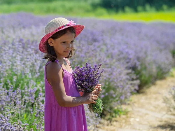 Portrait Little Girl Lavender Bouquet Her Hand Lavender Field — Stock Photo, Image