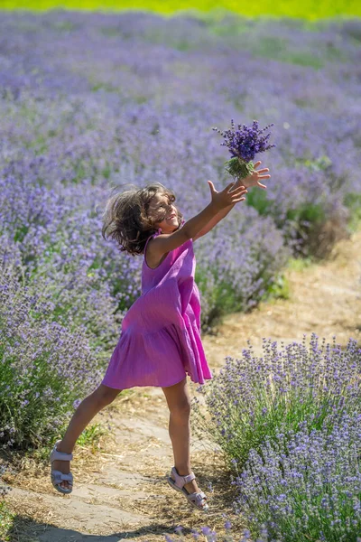 Pretty Little Girl Walking Flowering Lavender Field Gathering Flowers — Stock Photo, Image