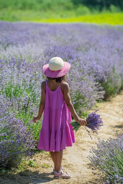 Menina Bonita Andando Campo Lavanda Florido Recolhendo Flores — Fotografia de Stock