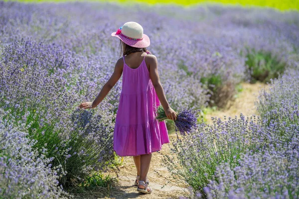 Jolie Petite Fille Marchant Dans Champ Lavande Fleurs Cueillant Des — Photo