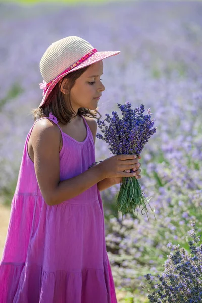 Portrait Little Girl Sniffing Flowers Lavender Field — Stock Photo, Image