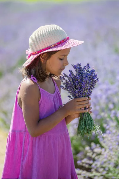 Portrait Little Girl Sniffing Flowers Lavender Field — Stock Photo, Image