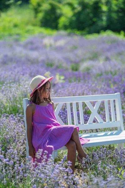Pretty Little Girl Walking Flowering Lavender Field Gathering Flowers — Stock Photo, Image