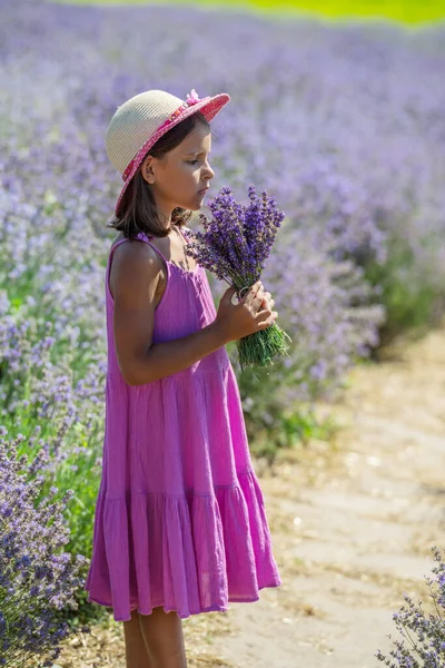 Pretty Little Girl Walking Flowering Lavender Field Gathering Flowers — Stock Photo, Image