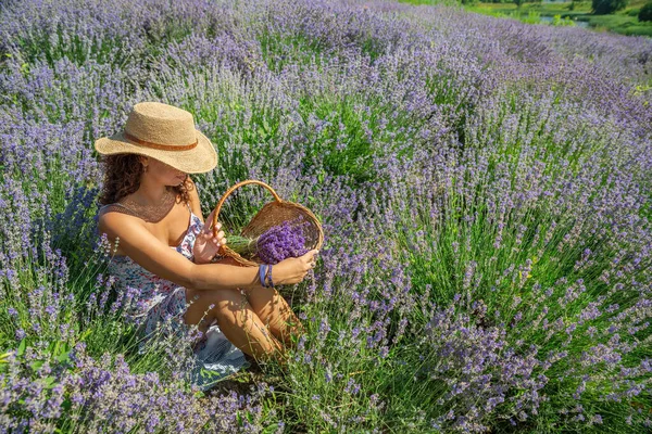 头戴草帽的女人坐在薰衣草灌木和采花之间 — 图库照片