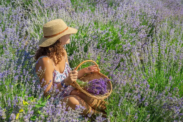 头戴草帽的女人坐在薰衣草灌木和采花之间 — 图库照片