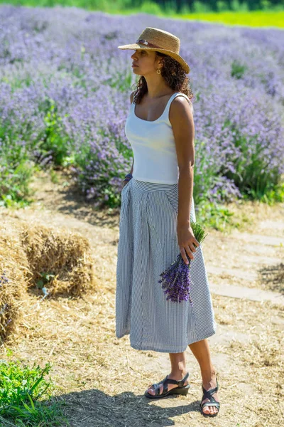 女人走在开着花的薰衣草地里采花 — 图库照片