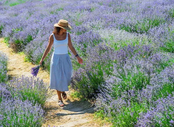 Mulher Caminhando Campo Lavanda Florido Recolhendo Flores — Fotografia de Stock