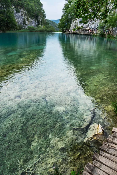 普里特维尔湖国家公园是克罗地亚历史最悠久 规模最大的国家公园之一 也是联合国教科文组织的世界遗产 湖泊和公园内的小径 在欧洲各地旅行 — 图库照片