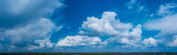 Panoramisch Uitzicht Bewolkte Lucht Groene Toppen Van Bomen Prachtige Natuur — Stockfoto