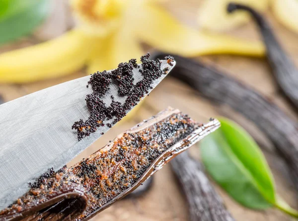 Frutos Secos Vainilla Orquídea Vainilla Sobre Mesa Madera Primer Plano —  Fotos de Stock