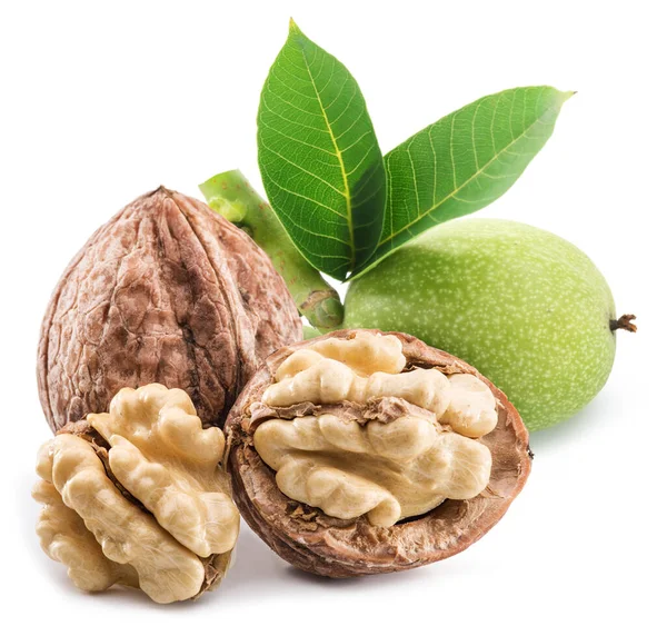 Nueces Nueces Cáscara Verde Con Hojas Aisladas Sobre Fondo Blanco —  Fotos de Stock