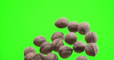 Birkaç ceviz yavaşça yükselir ve yeşil arka plan üzerine düşer (kroma anahtarı). Yavaş çekim 300 fps. 