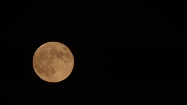 Vollmondbewegung Über Den Himmel Mai 2021 Halloween Mond Konzept — Stockvideo