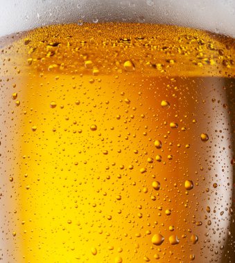Soğutulmuş bir bardak bira. Bira bardağının soğuk yüzeyine küçük su damlaları düşer..
