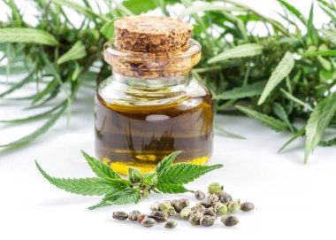 Kenevir yaprakları, tohumlar ve kenevir yağı beyaz arka planda izole edilmiş. Kapat..