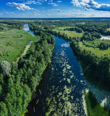 Sakin nehirde kanolar. Havadan görünüşlü. Nehrin güzel resmi ve nehrin yeşil kıyıları yaz sabahında.