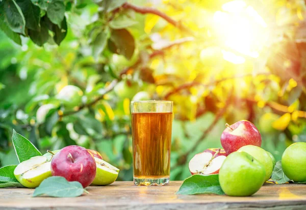 Färsk Äppeljuice Och Ekologiska Äpplen Träbordet Sommar Fruktträdgård Kvällssolen Strålar — Stockfoto