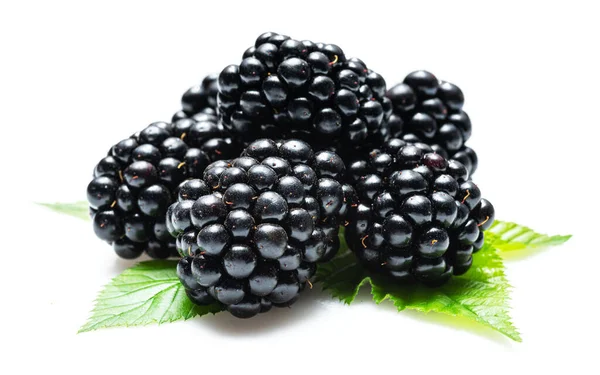 Blackberries Ежевикой Листья Изолированы Белом Фоне — стоковое фото