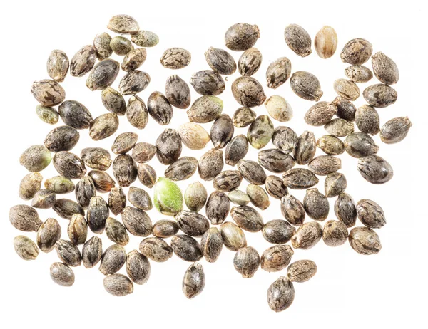 Cannabis Seeds Isolated White Background Close — Stock Photo, Image