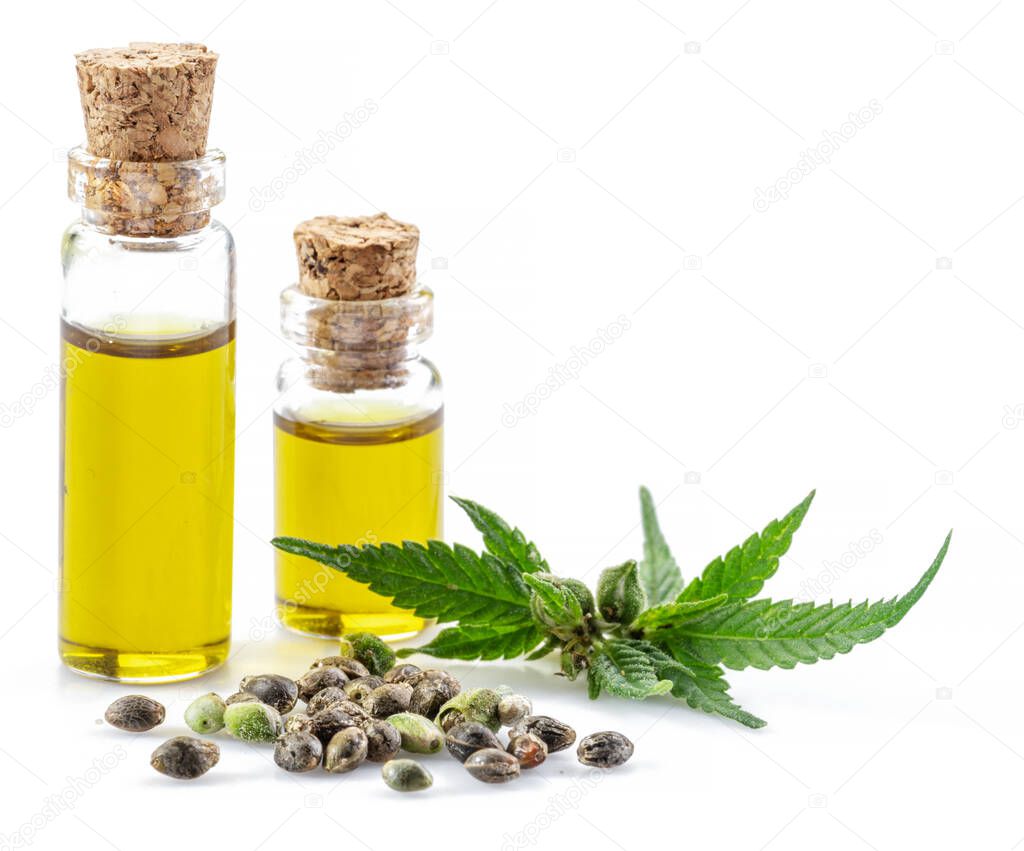 Cannabis leaves, seeds and hemp oil isolated on white background. Close up.