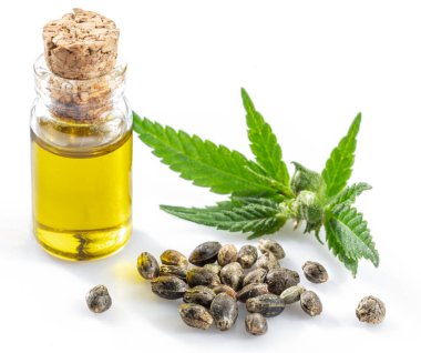 Kenevir yaprakları, tohumlar ve kenevir yağı beyaz arka planda izole edilmiş. Kapat..