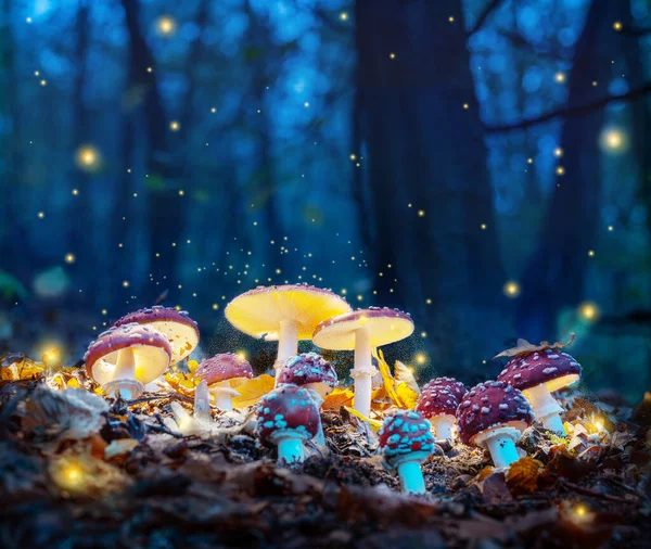 神秘的な暗い森の中で神秘的なハエの農業の輝き ハロウィーンのためのおとぎ話の背景 — ストック写真