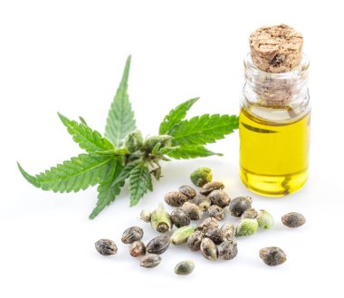 Kenevir yaprakları, tohumlar ve kenevir yağı beyaz arka planda izole edilmiş. Kapat..