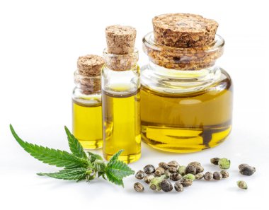 Kenevir yaprakları, tohumlar ve kenevir yağı beyaz arka planda izole edilmiş. Kapat..