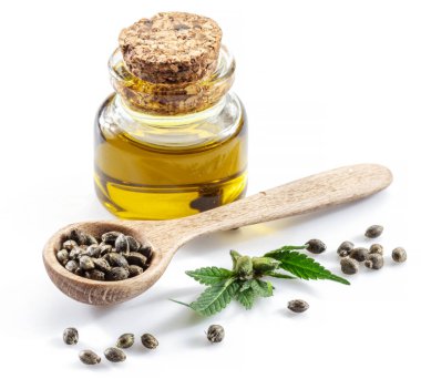 Ahşap kaşıkta esrar tohumları ve beyaz arka planda izole edilmiş kenevir yağı. Kapat..