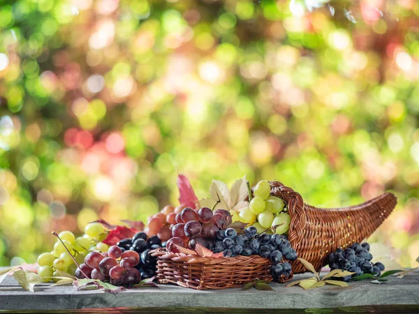 Klasar Druvor Gamla Träbord Och Suddig Färgglad Höst Bakgrund Variation — Stockfoto