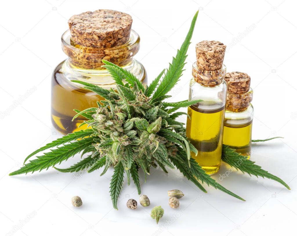 Raceme top of cannabis plant and bottles of hemp oil isolated on white background. Close up.