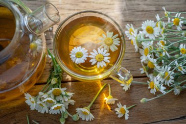 Çaydanlık ve çay bardağının yanında papatya çayı ve papatya çiçeği. Kırsal ya da kırsal arkaplan.