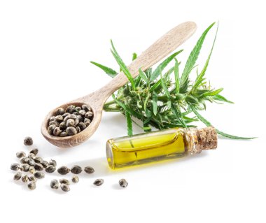 Ahşap kaşıkta esrar tohumları ve beyaz arka planda izole edilmiş kenevir yağı şişeleri. Kapat..