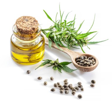 Ahşap kaşıkta esrar tohumları ve beyaz arka planda izole edilmiş kenevir yağı. Kapat..