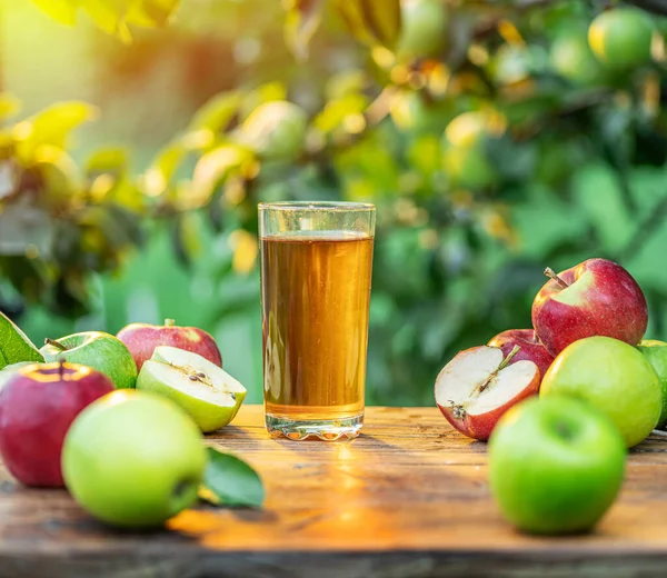 Čerstvý Jablečný Džus Jablka Dřevěném Stole Letní Zahradě Sadu — Stock fotografie