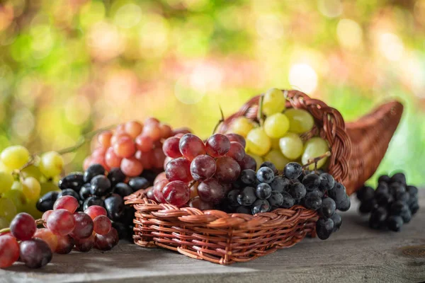 Bunches Grapes Old Wooden Table Blurred Colorful Autumn Background Variety — Stock Photo, Image
