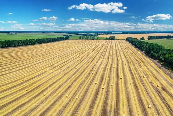 Vista Aérea Campo Trigo Colhido Céu Azul Fundo Haystacks Jazia — Fotografia de Stock