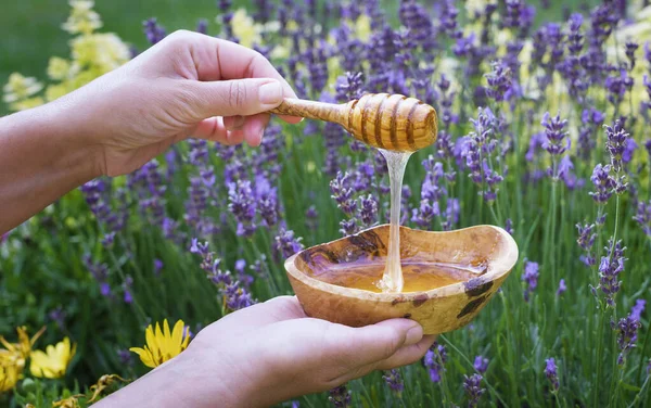 Kvinna Håller Honung Dipper Över Träplatta Med Honung Blommande Lavendel — Stockfoto