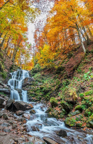 Горный Ручей Лесу Красивый Красочный Осенний Пейзаж Лесу — стоковое фото