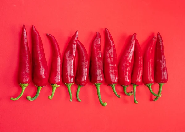 Fresh Red Chilli Peppers Lay Row Isolated Red Background Top — Stock Photo, Image