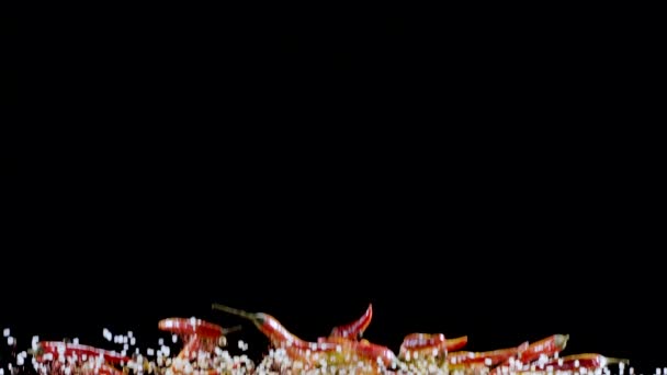 Суміш Мелених Спецій Солодкого Перцю Солі Дрібного Червоного Перець Чилі — стокове відео