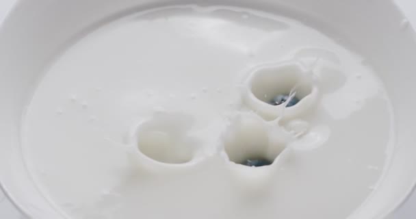 Черника Медленно Падает Йогурт Утренний Здоровый Завтрак 300Fps — стоковое видео