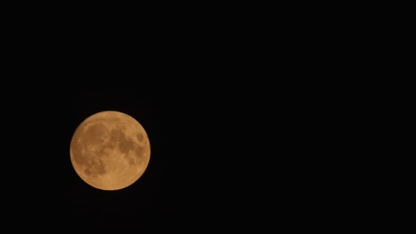 Full Orange Moon Beweging Aan Hemel Juli 2021 Halloween Moon — Stockvideo