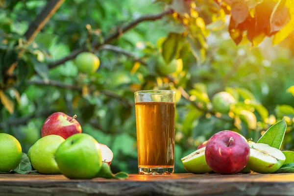 Färsk Äppeljuice Och Ekologiska Äpplen Träbordet Sommar Fruktträdgård Kvällssolen Strålar — Stockfoto