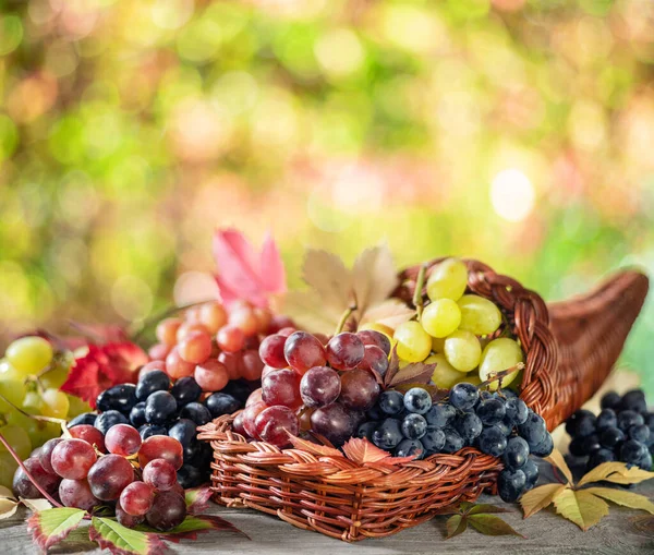 古い木製のテーブルの上にブドウの束とぼやけてカラフルな秋の背景 秋のコーコシアや豊かさの象徴として熟したカラフルなブドウの品種 — ストック写真