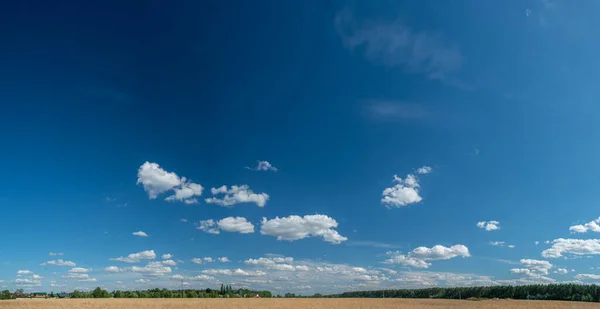 Πανοραμική Άποψη Του Πεδίου Σιτάρι Και Μπλε Ουρανό Στο Παρασκήνιο — Φωτογραφία Αρχείου